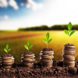 Farming for Wealth: How to Turn Agriculture Into a Million-Naira Business