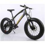 LS26 LEOPARD SNOW SPORTS BIKE